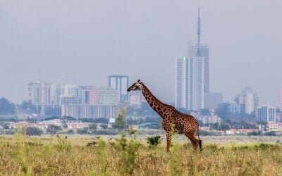 SamPES : Formation d’experts à Nairobi-KENYA du 11 au 13 octobre 2022