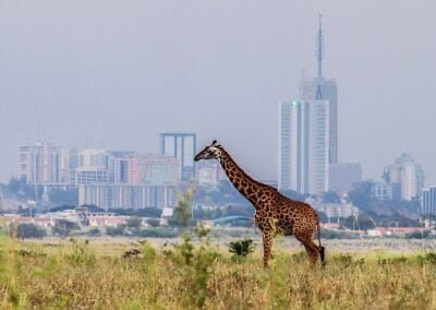 SamPES : Formation d’experts à Nairobi-KENYA du 11 au 13 octobre 2022