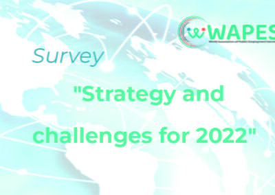 Encuesta: “Estrategia y retos de los SPE en 2022”