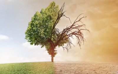 Impact du changement climatique et de la transformation écologique  sur le marché du travail