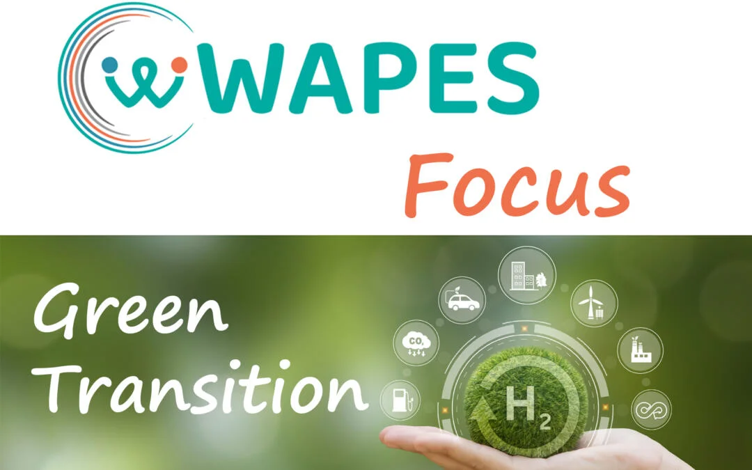 wapes focus green trans