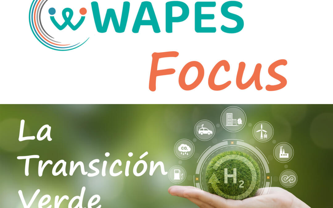 wapes focus la transition verde