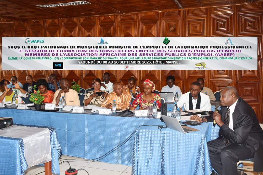 AASEP WAPES Yaoundé 2025 04 joint project wapes philippines japan 01
