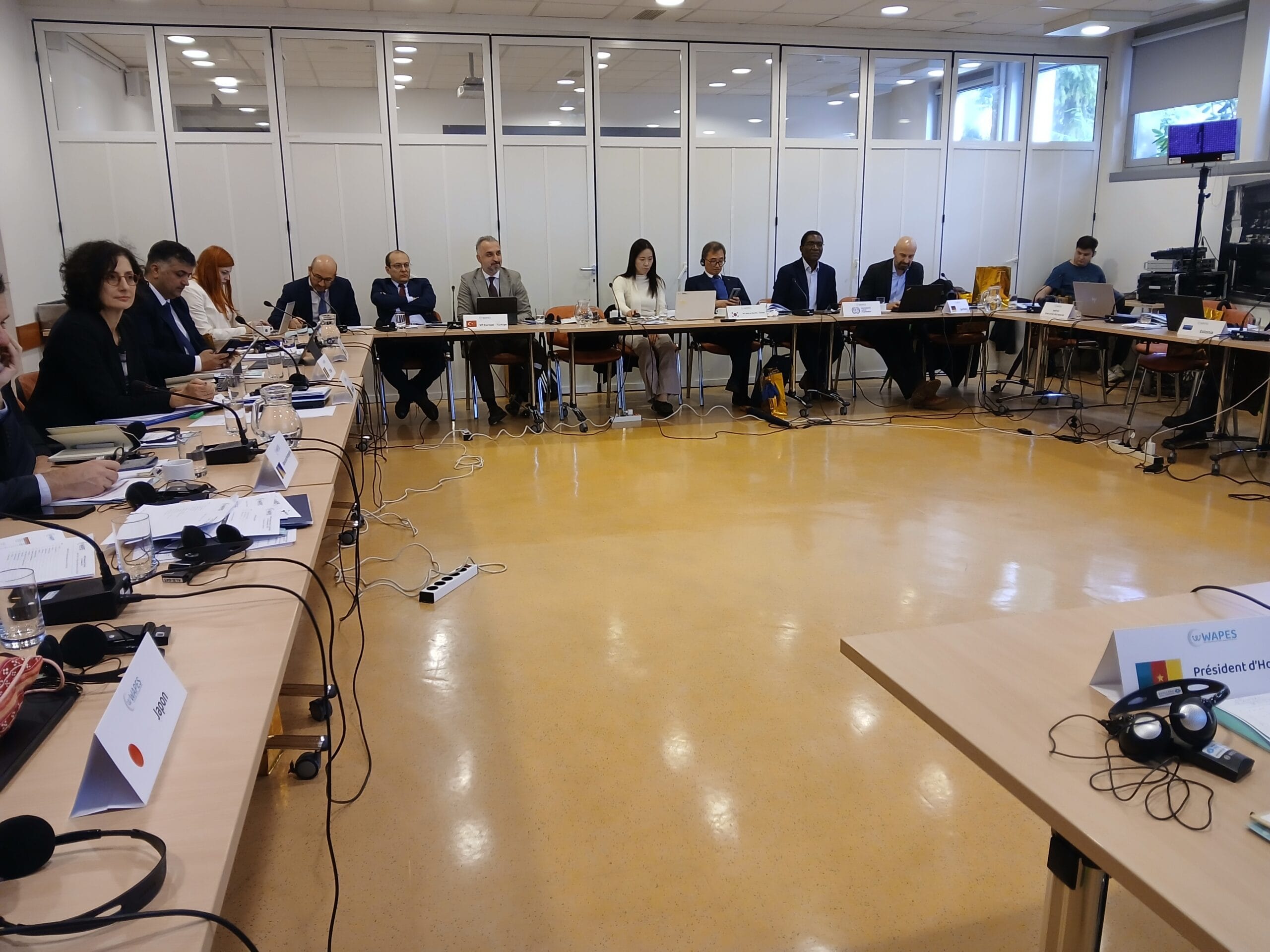 WAPES Managing Board 2025 06