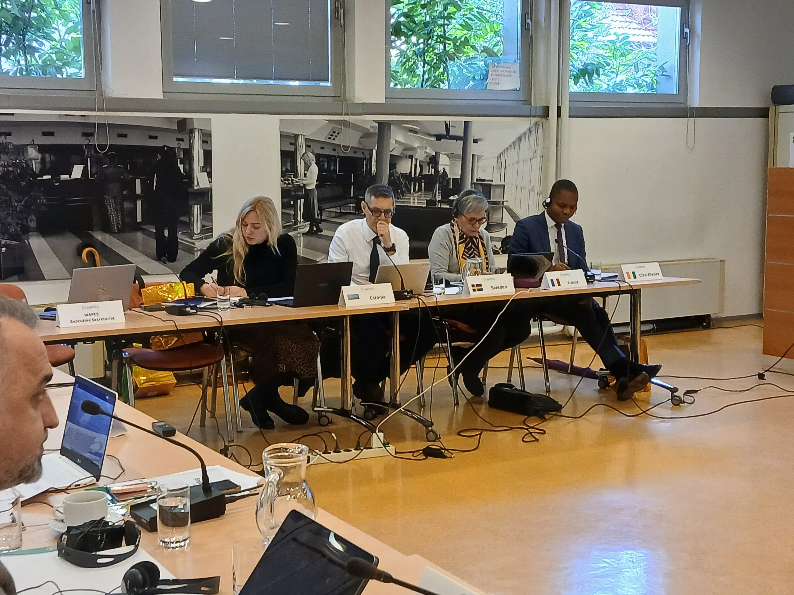 WAPES Managing Board 2025 04