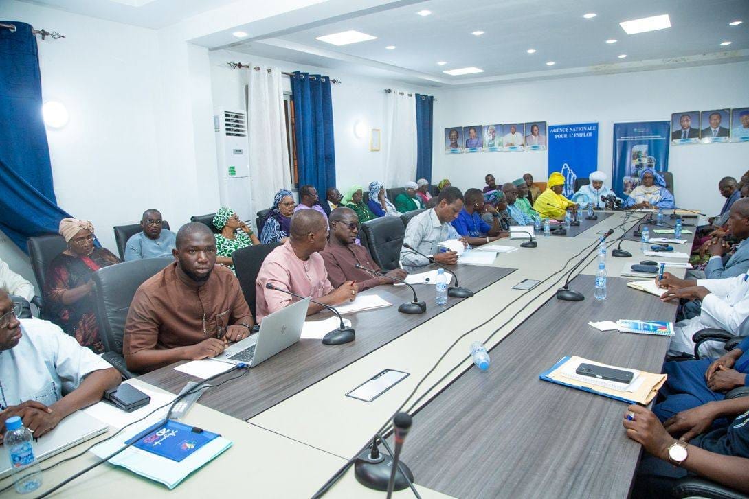 dome anpe 02 ministère de l'emploi et de la formation professionnelle du mali﻿