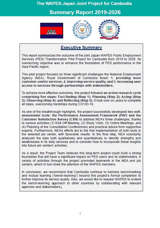 executive summary joint project nea english